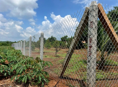 Dự án trụ bê tông cho vườn ở Gia Ray, xuân lộc, đồng nai